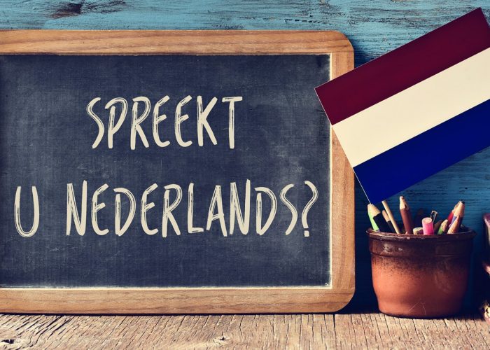 Where can I learn Dutch Language in Pune?