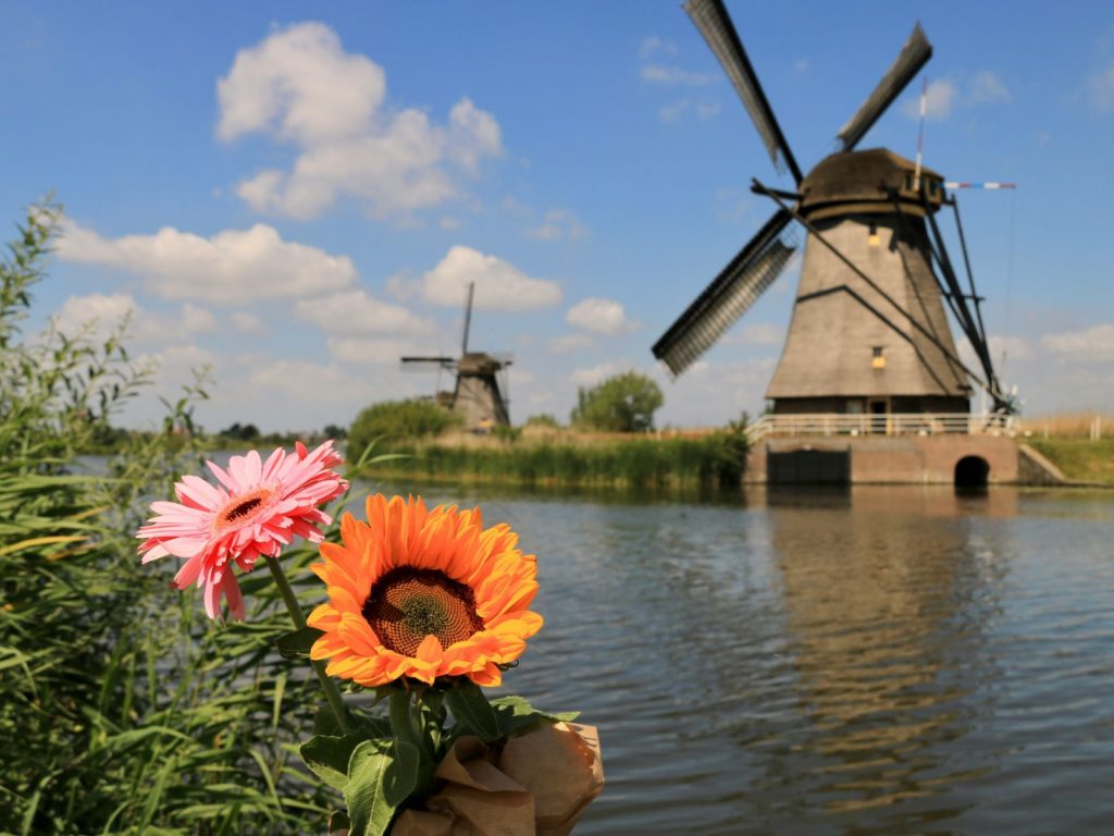 Dutch